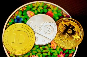 poluchit besplatno zk airdrop na testnet bez kyc