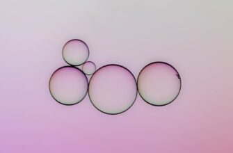 poluchit meme coin airdrop na polygon masshtabnyj