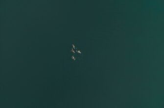 pretendovat usdt airdrop na zksync bez vlozhenij