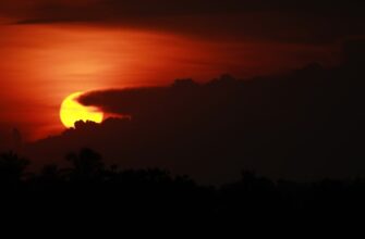 prodat sol za som cherez kivi v sankt peterburge mgnovenno