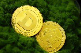 sobrat bitkoin airdrop na starknet dlja novichkov