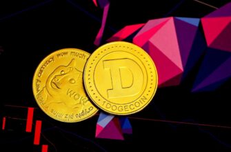 sobrat zk airdrop na starknet poshagovo