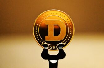 uchastvovat ton airdrop na bybit dlja novichkov